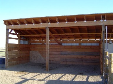 HorseAdvice.com Equine &amp; Horse Advice: Run-in shed?