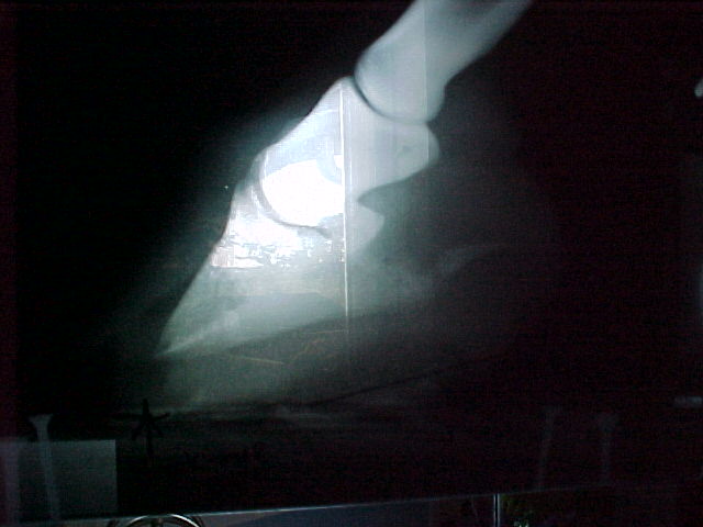 8-xray