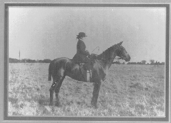 granny hunting in east Waterford