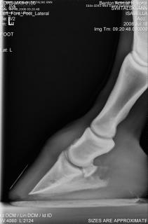 Left foot 08