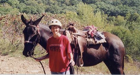 Millie the mule