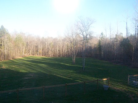 new pasture