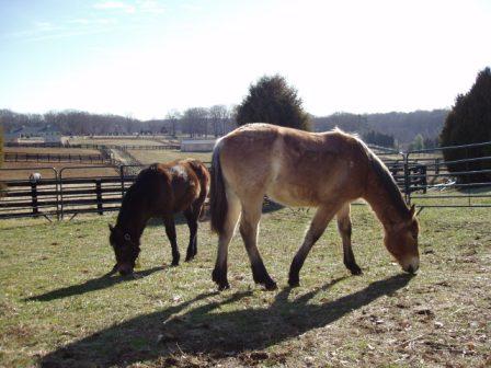 Outside two weeks later