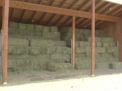 hay