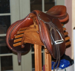 with saddle