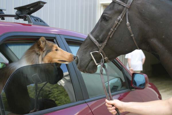 Guinness and Breannan