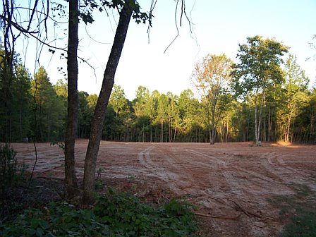 new pasture