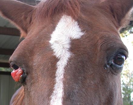Mona's eye 2 March 2007 6PM