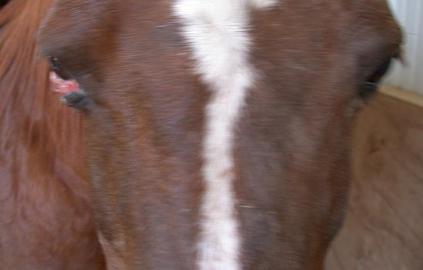 Mona's eye 5 Mar 2007 front