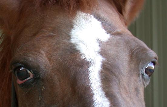 Mona's eye 9 Mar 2007 front