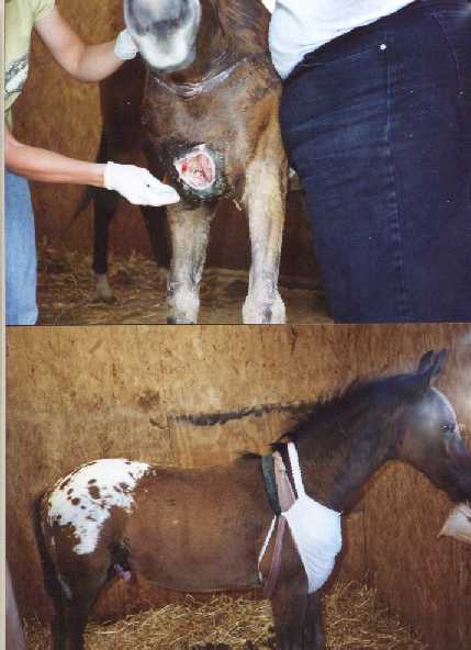 taken 3/4 weeks after 