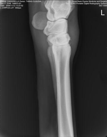 Radiograph #2 of carpus