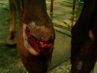 May 3rd, day of injury