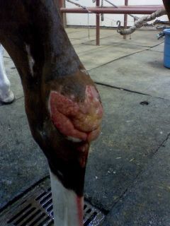 May 29th, injury from another angle