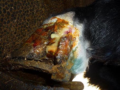 Full side view now with shoe