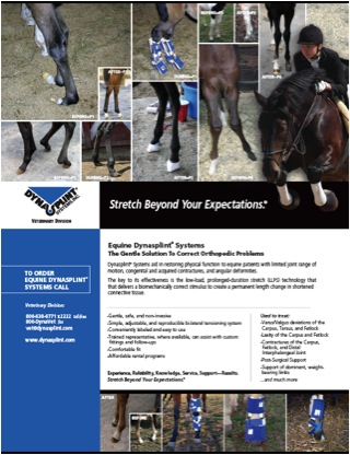 Equine Dynasplint Systems