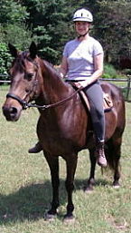 Suzy in her Bitless Bridle