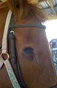 enucleated, no prosthetic