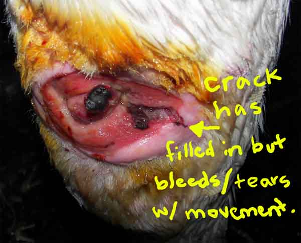 this morning 11-4-10 - labled to explain