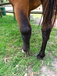 Any advice would  be appreciated