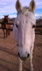 Moonlight 11-30-2011