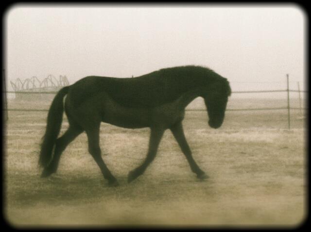 Trotting 3 days ago. 