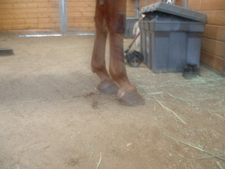 Before rim/wedge pads.