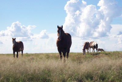 Where the sky meets the earth!