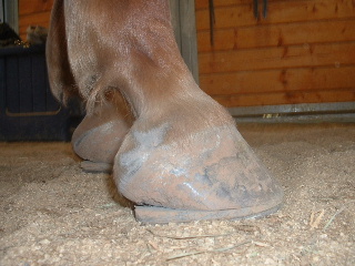 Today from the right