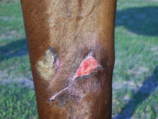 Pics of an injury I am dealing with