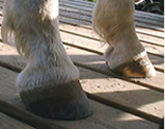right side view