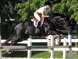 Roxie in warm up ring