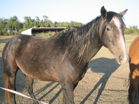 Maggie in the Fall 2006
