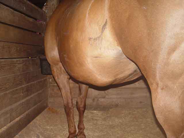 left side view from rear