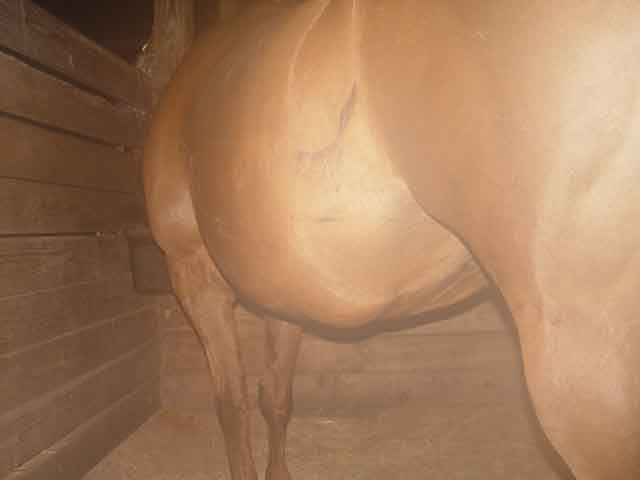 left side view from rear