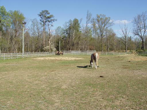 Oh wait, I found more hay to eat