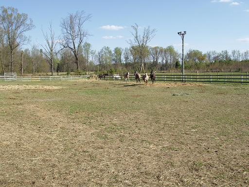 Weeeh... I'm chasing them!