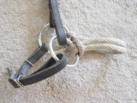 noseband closeup