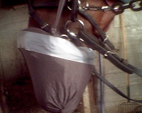 Mr AC/DC's nose mask