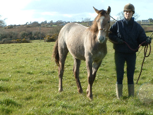 Luggage leading lesson
