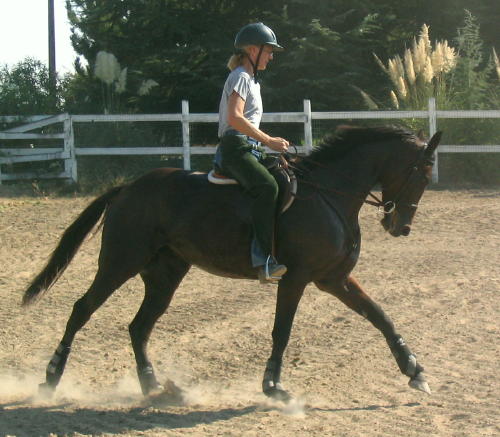 Aly under saddle