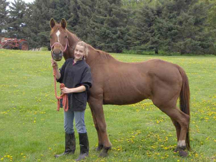 Lisi and Firefly